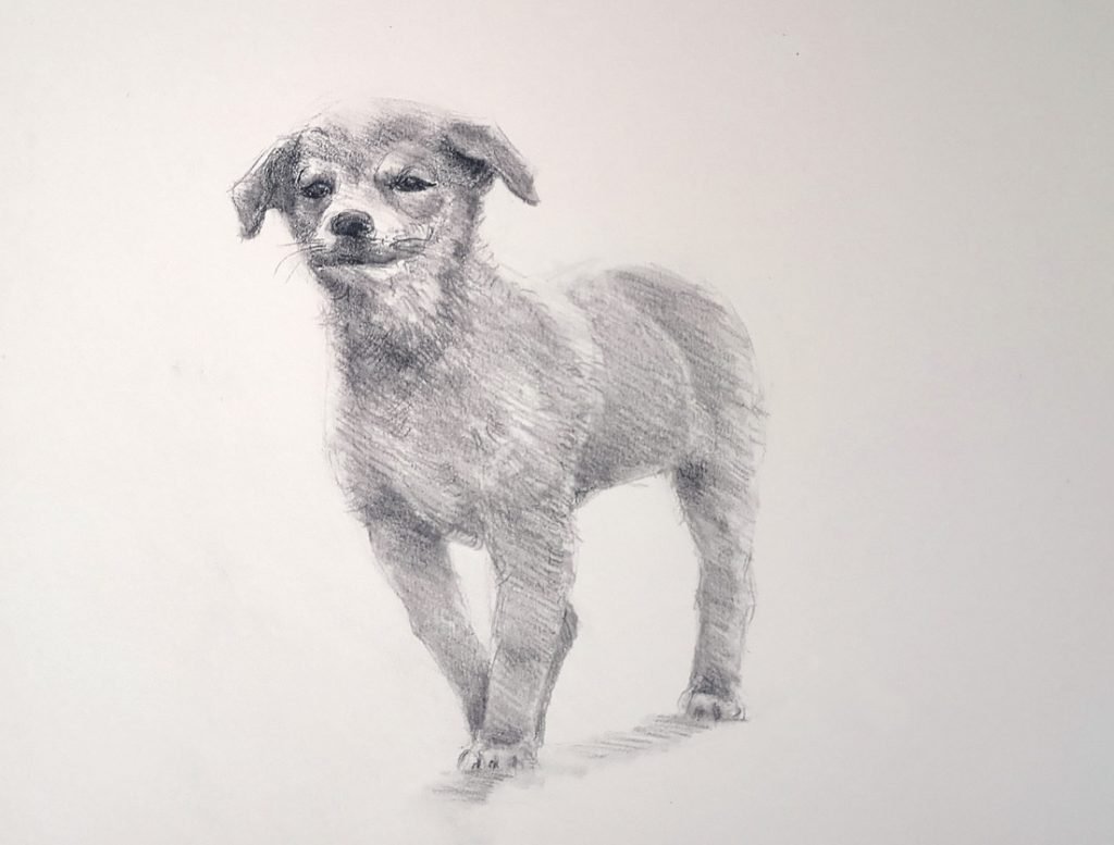 How To Draw A Dog Easy Step By Step Video Tutorial