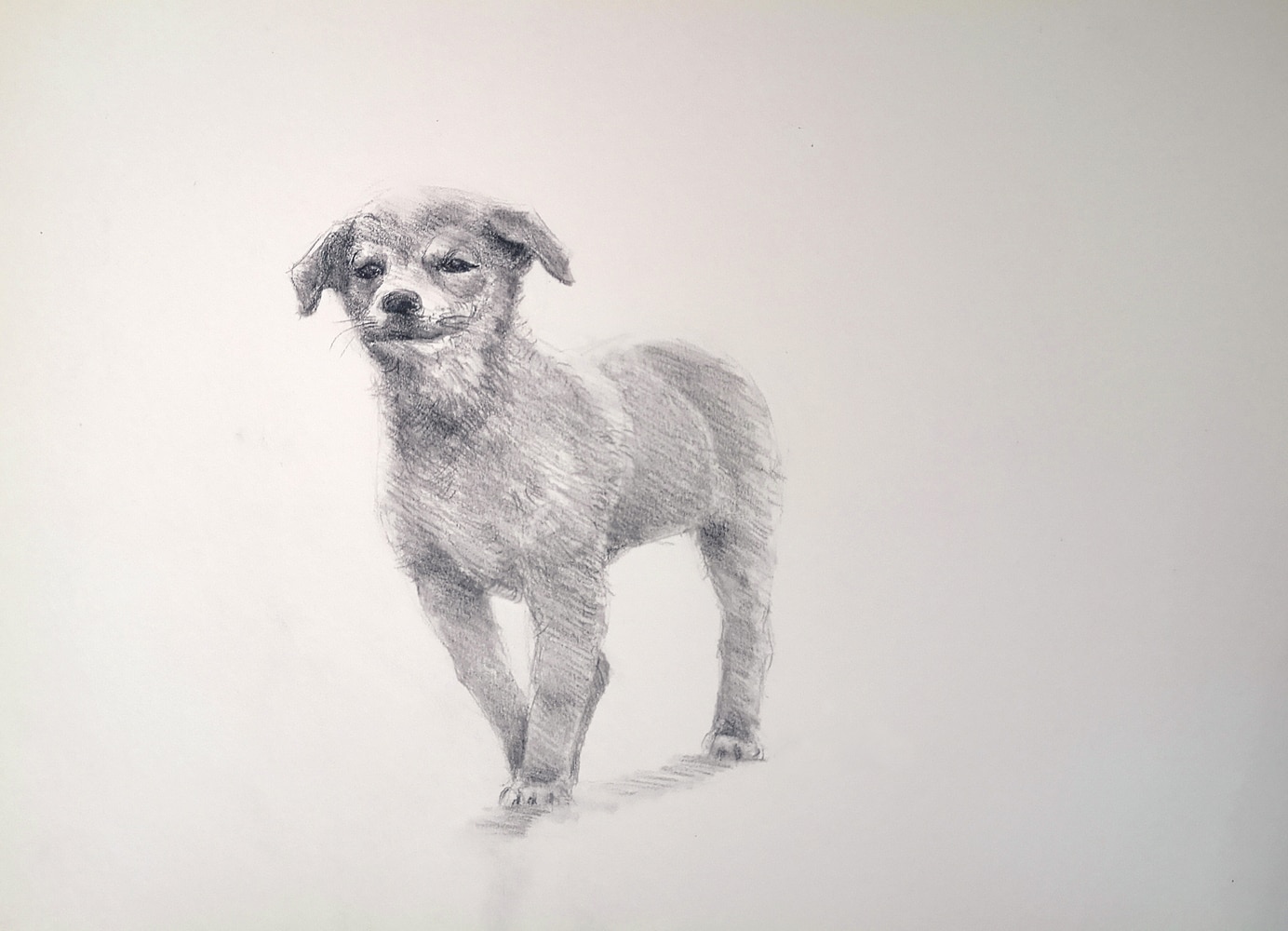How to draw a dog - easy step by step video tutorial