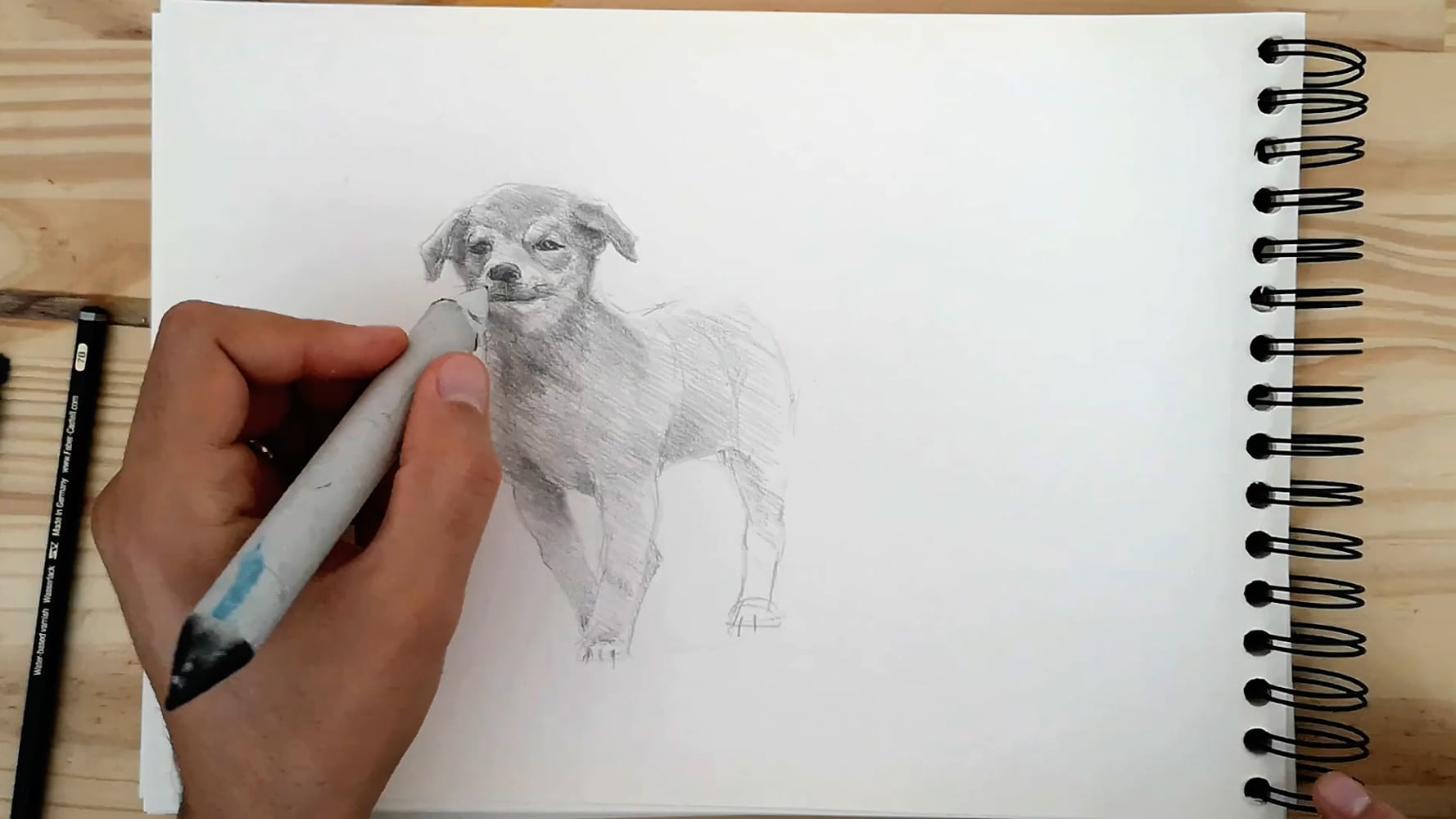 comment dessiner un chien