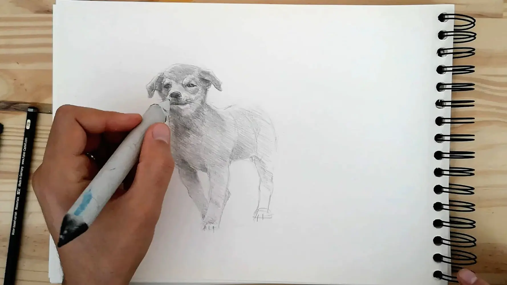 comment dessiner un chien