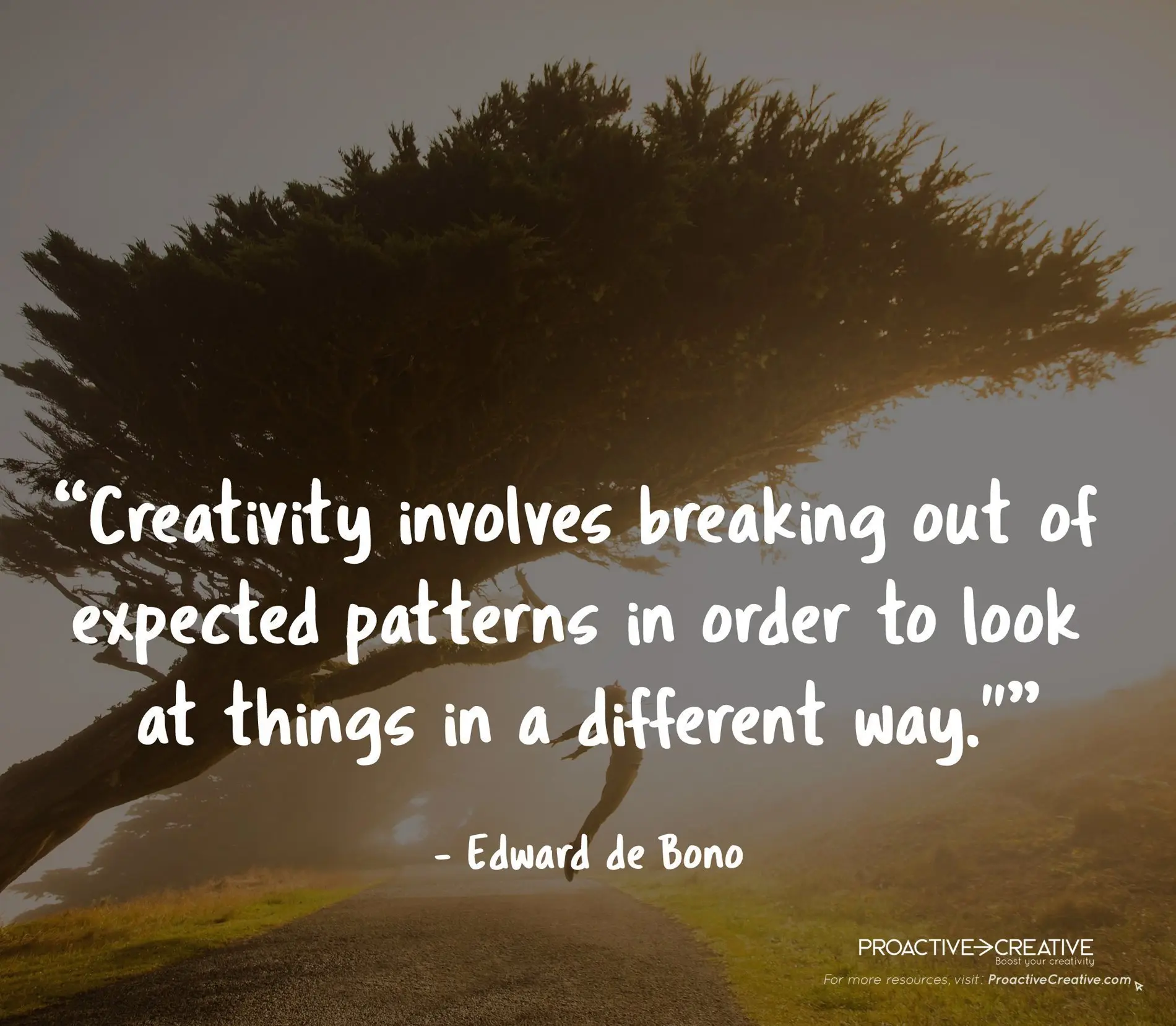 Quotes About Creativity - Edward de Bono