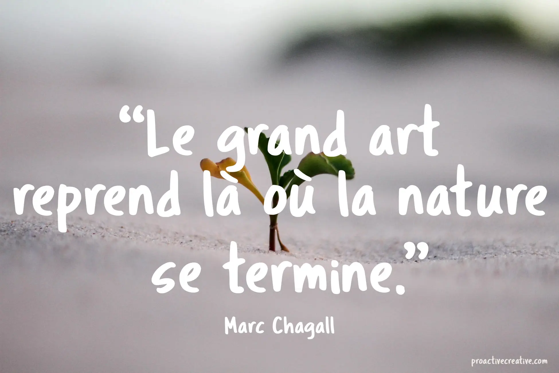 Citation d'art - Marc Chagall
