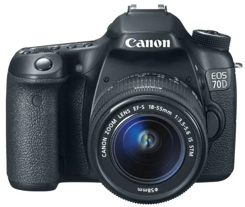 Canon EOS 70D Digital SLR Camera - The best camera for photographing art