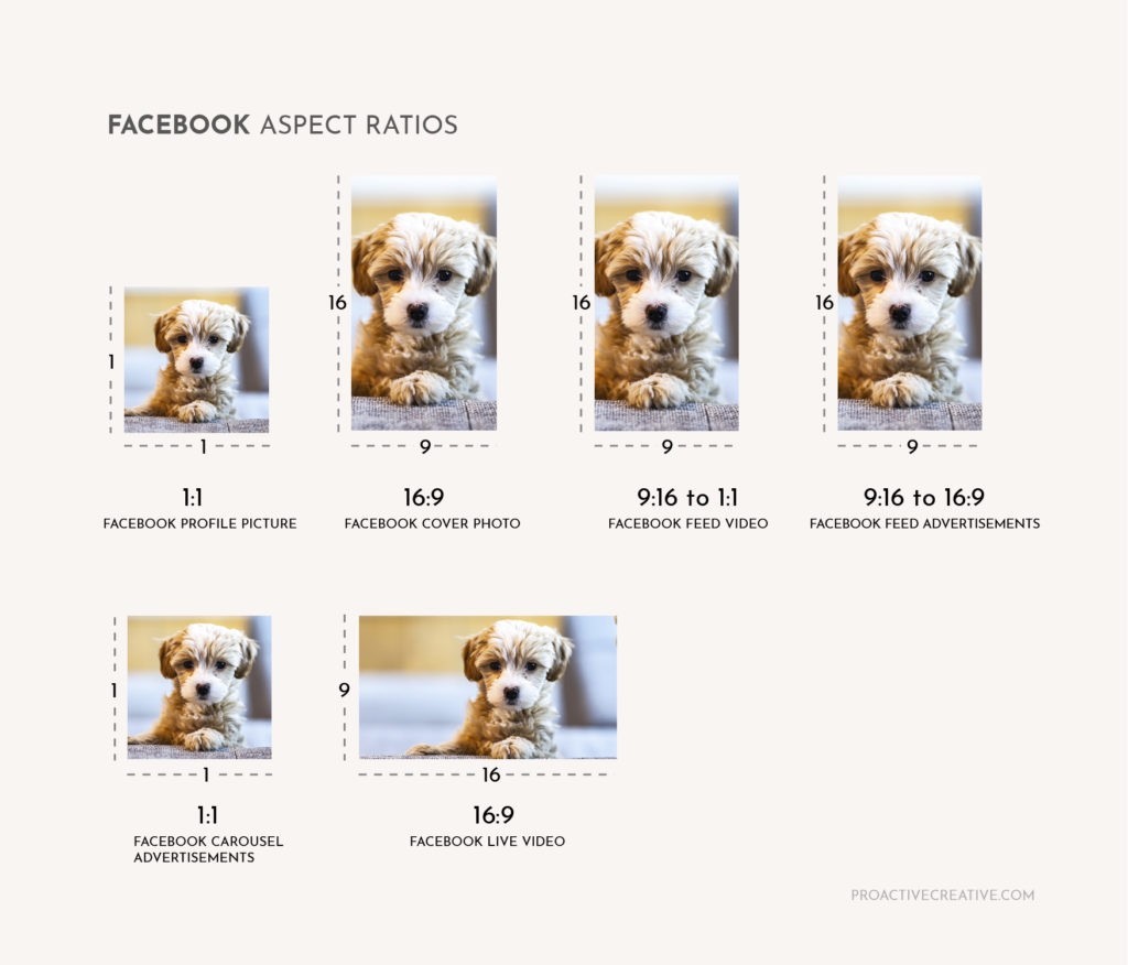 Facebook aspect ratio