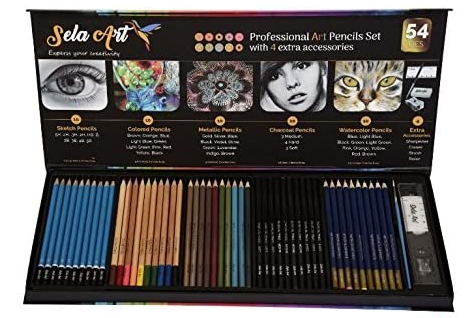 Sela Art-54 Pcs professional Art Pencil Set, Best Art Kit for Students and Aspiring Artists