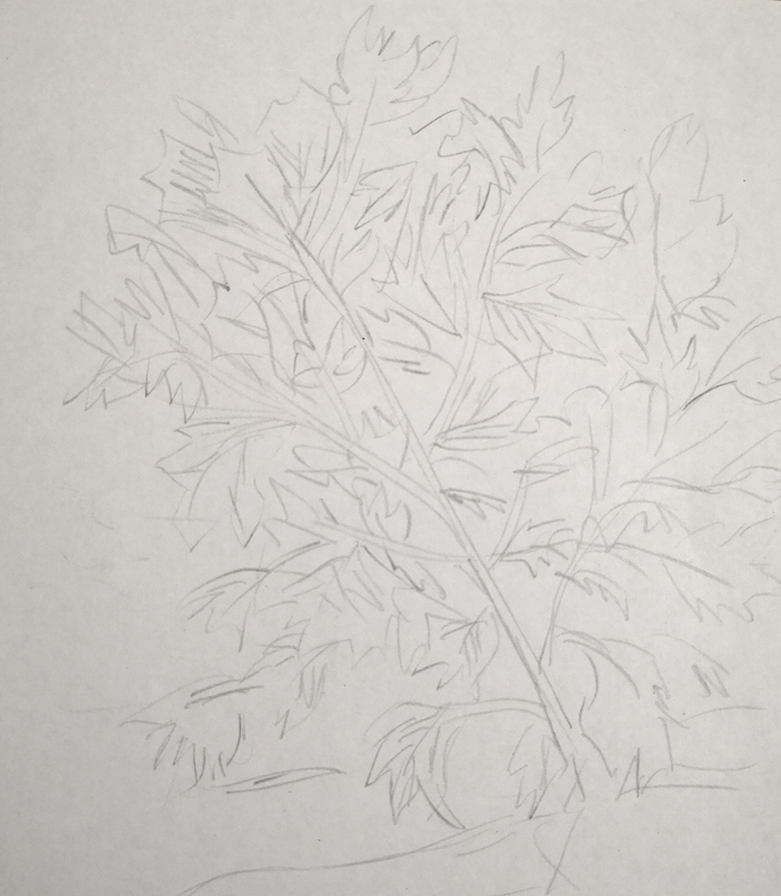 automn tree drawing idea