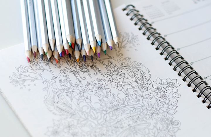 Coloring pages for adults (Free)
