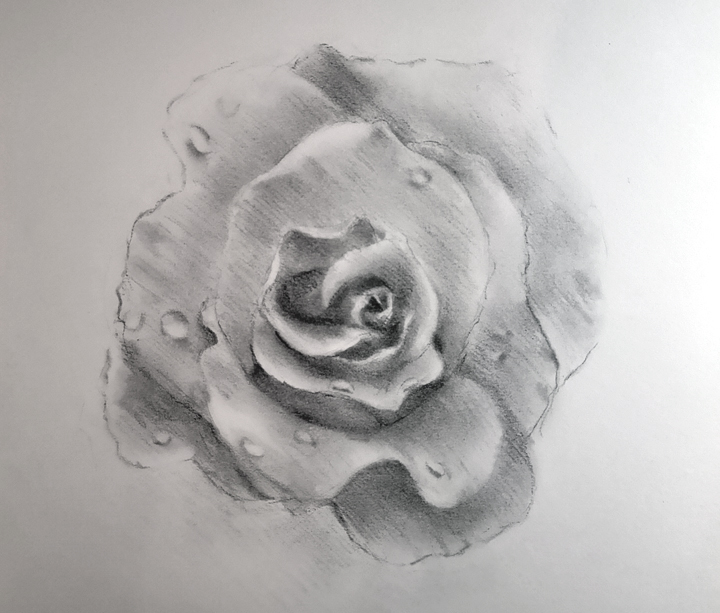 Creative thigs to draw when you're bored, roses