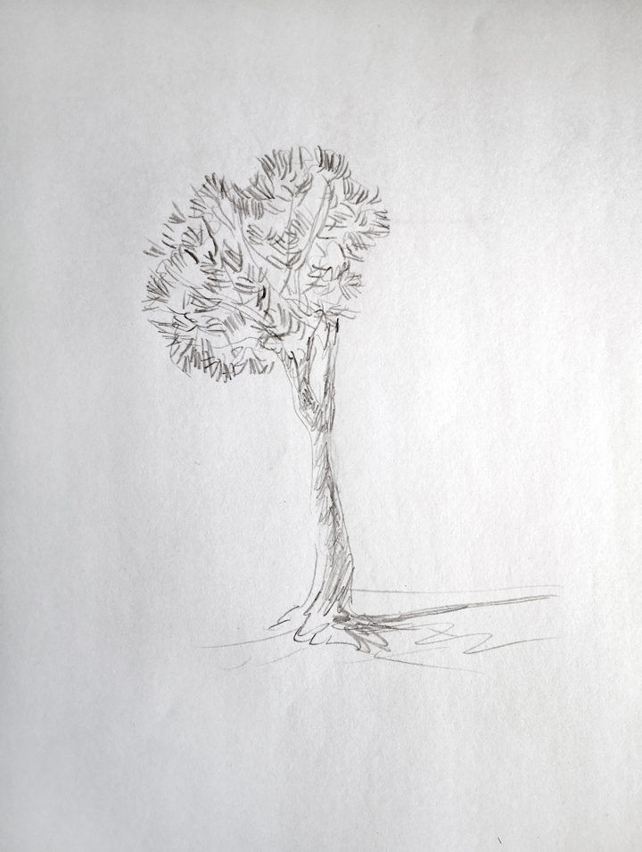 Things to draw when bored (A Tree)