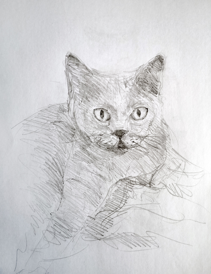 Des choses à dessiner quand on s'ennuie - Un chat