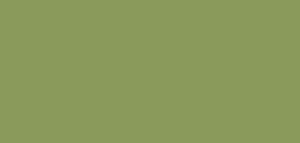 différentes nuances de vert : Vert mousse