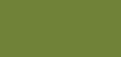 Shade of green Olive Green