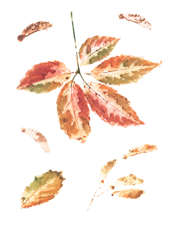 Autumn leaves watercolor idea