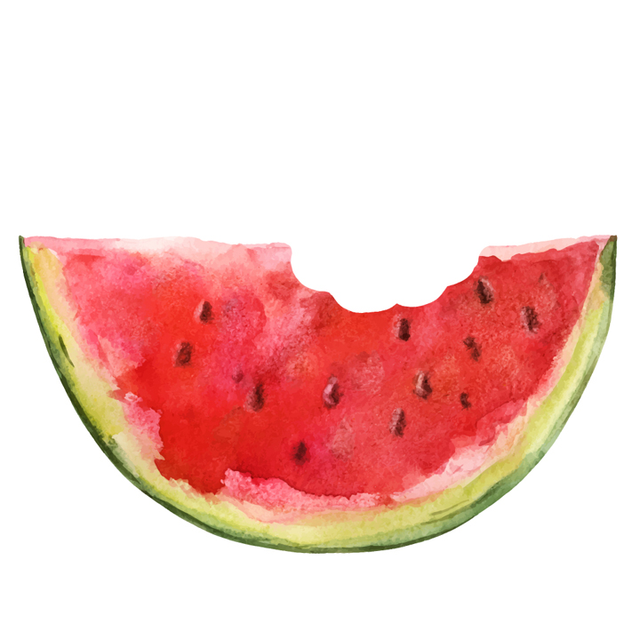 slice of watermelon watercolor idea