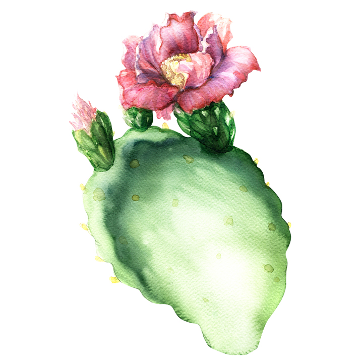cactus watercolor idea