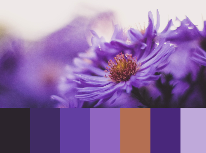 purple color palette with names,