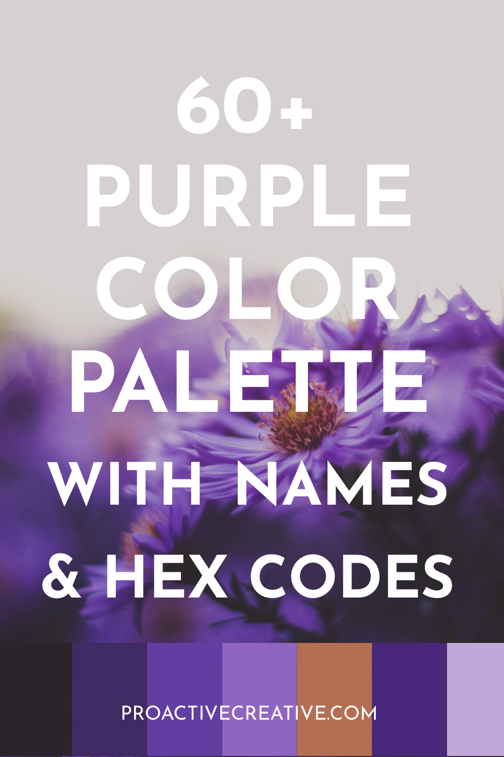 Palettes de couleur violette