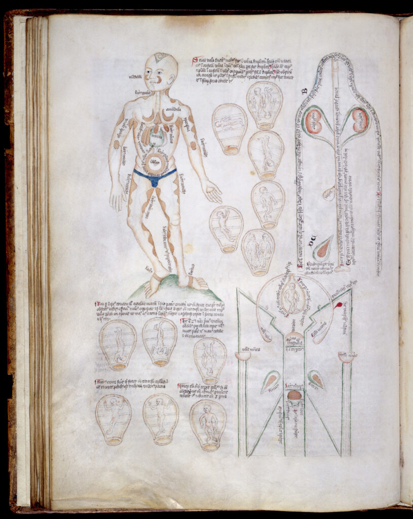 An open book with an illustration of a human body.