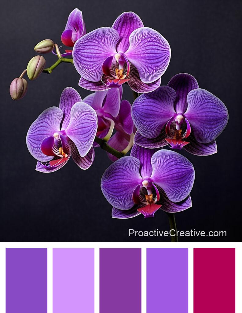 A color palette with purple orchids and black background.