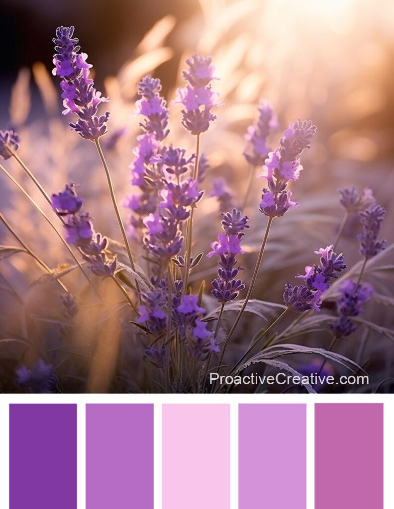 A purple color palette with lavender flowers.