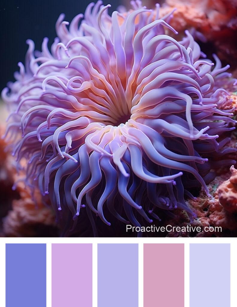 A purple and pink color palette with an anemone.