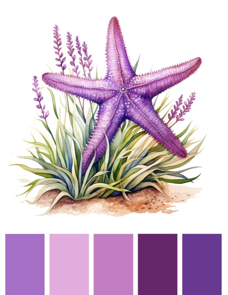 A color palette with a starfish and lavender.