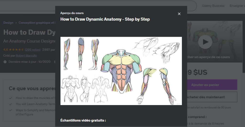 How to draw dynamic anatomy.