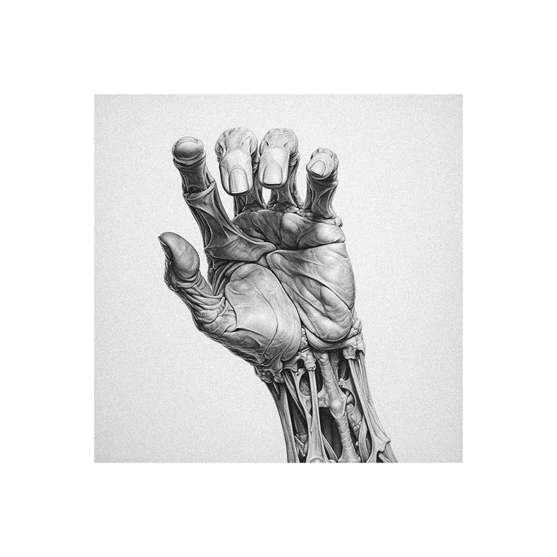 A black and white drawing of a human hand.