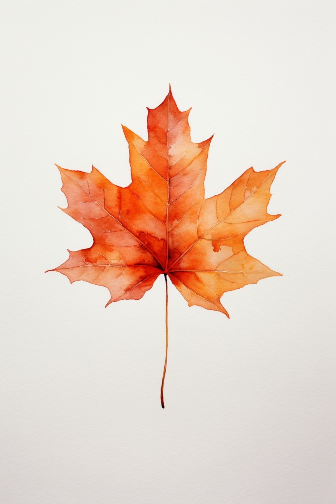 A watercolor painting of a maple leaf.